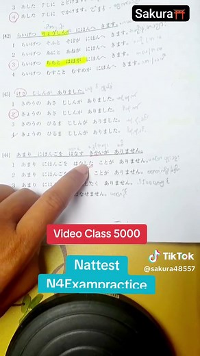 Nattest N4 Exam Practice Overview