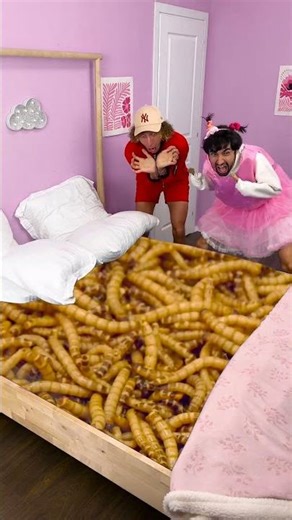 POV: Ein Drache, der dein bester Freund ist! 🐉💤