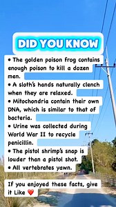 Nature Facts That Sound Fake #facts | IQ&Math 2.2