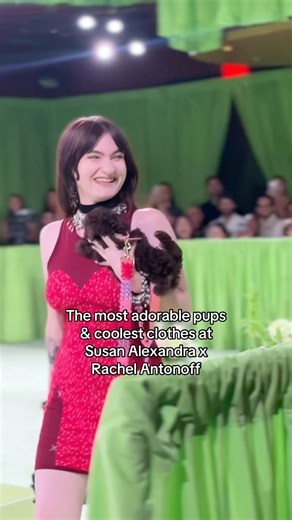 Susan Alexandra & Rachel Antonoff’s third annual Best in Show runway🥇🐾 #nyfw #adoptdontshop