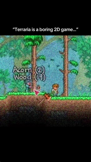 Terraria: More Than Just a 2D Game