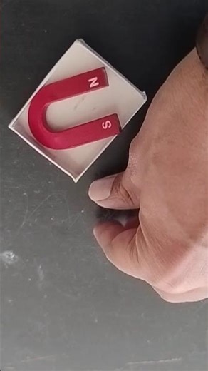 How Magnetic Field Lines Look? 🧲 Iron FilingsPhysicsExperiment#Magnetism#Class10Physics#cbse#pcmb