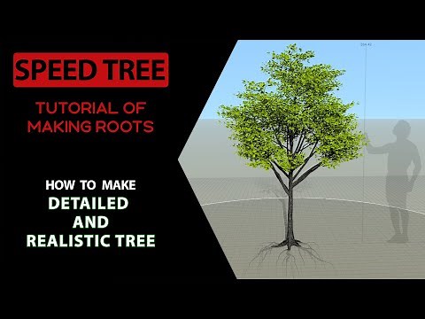 speedtree tutorial - detailed and realistic tree - making the roots