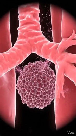 Inside the Lungs Breathing Process | Realistic Medical View 🫁 #shorts #asmr