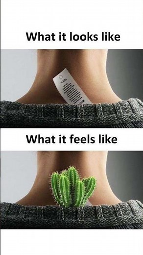 What it looks like | NARRATING MEMES IN IMAGES