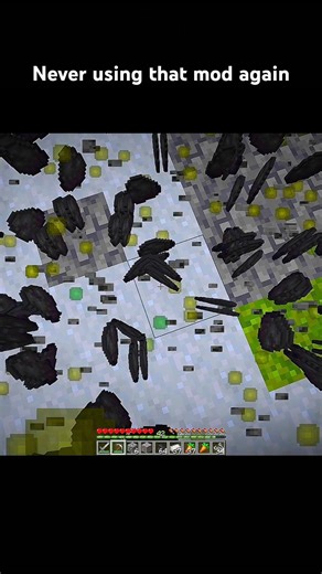 Never using that mod again #minecraft #gaming #never #mode