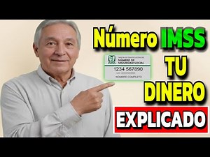 De 0 a EXPERTO: Todo lo que oculta tu número de IMSS (Afore, Infonavit y Salud)