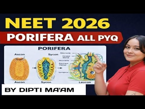 Phylum Porifera | Most Repeated NEET Questions | Animal Kingdom PYQ Series