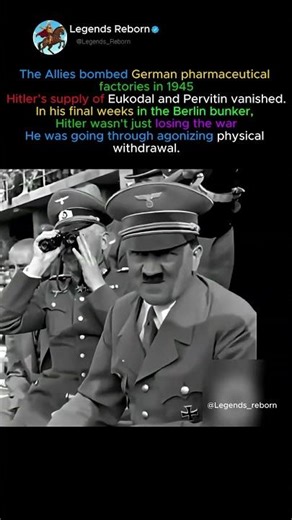 FÜHRER IS ALWAYS HIGH #shorts