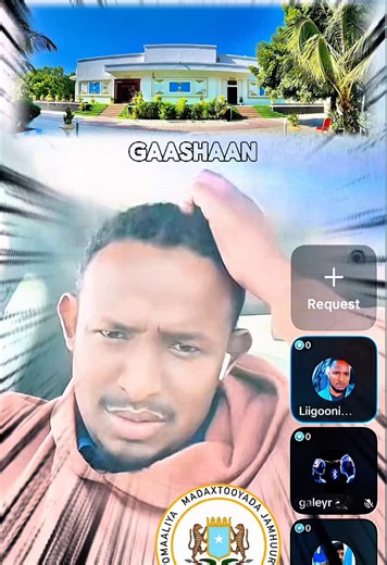 Villa Somalia: A Celebration of Somali Culture