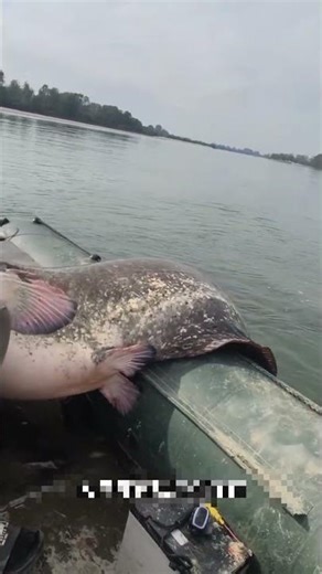 The Water Monster Is Real 🎣😳