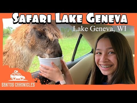 Safari Lake Geneva | Lake Geneva, WI