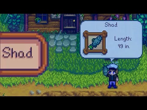 WHERE AND HOW TO CATCH SHAD Stardew Valley