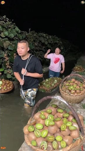 Night Kiwi Harvest and Washing in a Rural Orchard#🥝🥝🥝👍
