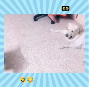 🤣🤣🤣 | Intresting videos