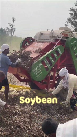 Soybean Processing #farming #soyabean