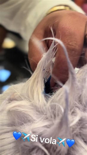 Barbers 1 Class: A Unique 3D Experience