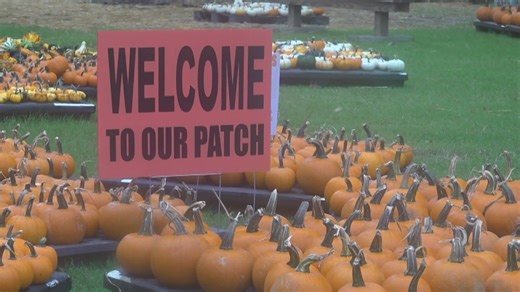 Looking for something to do now that we're in October? | Check out ABC24's Fall Break Guide