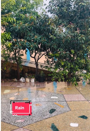 Understanding Rain: Causes and Effects