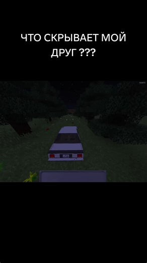 ЧТО СКРЫВАЕТ МОЙ ДРУГ ??? #scary #minecraft #meme #tiktok #funny
