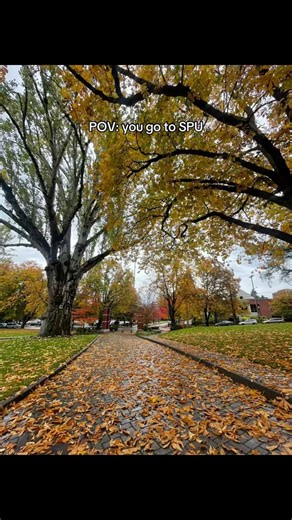 Seattle Pacific University on Instagram: "POV: you go to SPU following our TikTok? #SPU #CollegeLife #CampusVibes #StudentLife"