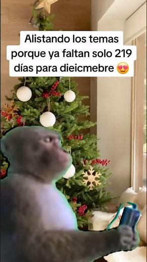 FELIPE MALDONADO l 👨🏻‍💻 SOCIAL MEDIA MANAGER 💡 | 🎅🏽 Acá alistando todo por que ya prácticamente se acabó el año 😅 | Instagram