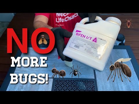 The best bug spray for your home and how to mix it! 🦟