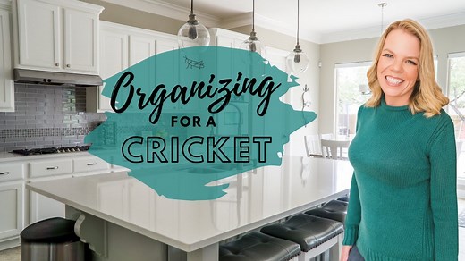 Are you a Cricket Organizer? In this video, I share the best tips and ideas for Crickets! A Cricket is a hidden and detailed home organizer. You want your things behind closed doors and organized in lots of small and detailed categories. You are a very organized and tidy person! | ClutterBug