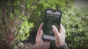 252 reactions · 63 shares | Introducing Explore the Wild, VA DWR's new web-based app for outdoor recreation! Discover over 1,000 public lands in Virginia for hunting, fishing, hiking, wildlife viewing, and more! 歷 ⛺️ | Virginia Department of Wildlife Resources | Facebook