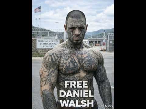 Daniel Walsh- F uck The System