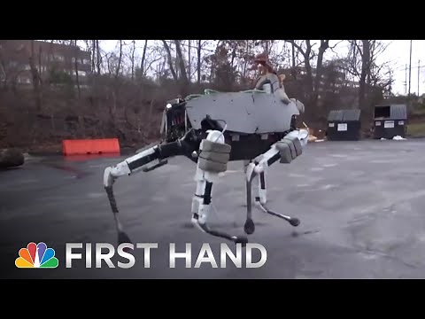 Boston Dynamics' Robot Dog 'Spot' Is Terrifyingly Lifelike | NBC News