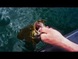Xzone stealth finesse series