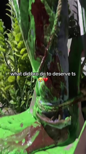 bro got slimed like its nickelodeon 💔🥀 #maldives #slime #funny #prank