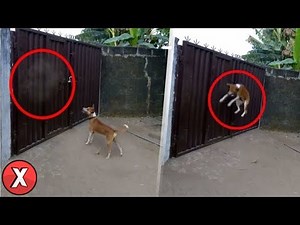 18 VÍDEOS QUE CONFIRMAM QUE VIVEMOS EM UMA SIMULAÇÃO l FALHAS NA MATRIX