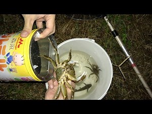 Finally caught a giant crab using a homemade trap!