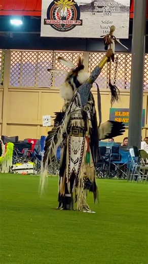 Men’s traditional dancer 🤎 #indigenous #powwow #traditional #dance #culture #nativeamerican #shorts