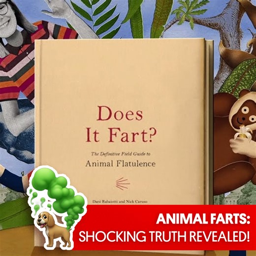18K views · 90 reactions | Do snakes fart? Everything you wanted to know about animal farts  | Great Big Story | Facebook