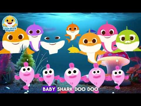 Baby Shark Underwater Adventure Song | Little Shark Rhymes | Nursery Rhymes for Kids