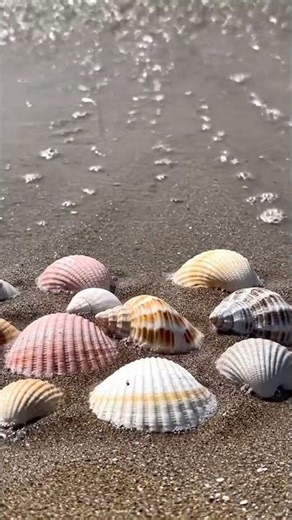 Nature Sounds – Ocean Waves 🌊 Stress Free