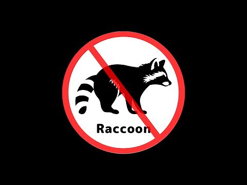 Raccoon repellent sound | Got trouble with raccoons?