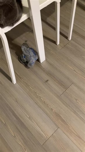 TikTok · Keyboard guy