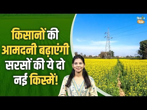 Mustard Cultivation: किसानों की आमदनी बढ़ाएंगी ये सरसों की दो नई किस्में, जानिए पूरी जानकारी!