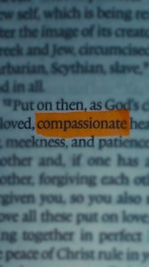 The word 'Compassion' in the Bible is more than just a feeling — it's an action rooted in love. Jesus showed compassion time and time again, healing the sick, feeding the hungry, and embracing the outcasts. As followers of Christ, we're called to do the same. "Be kind and compassionate to one another, forgiving each other, just as in Christ God forgave you." — Ephesians 4:32, NIV | Compassion International