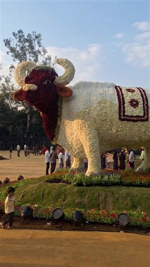 कोल्हापुरात १ कोटी फुलांची जादू! 😍🌸 | Global Flower Festival 2026 #viral