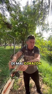 1.7M views · 131K reactions | Ellos están aquí no por que quieran usted los t1ro | El Gato Escobar | Facebook