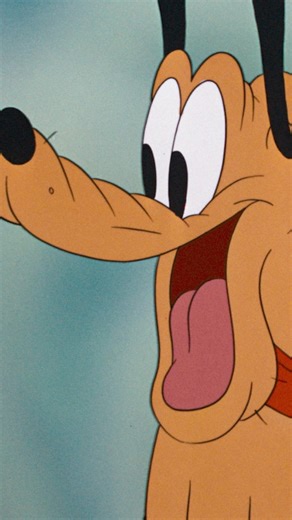 5.6M views · 206K reactions | Two best pals, one epic adventure. 廙 Stream Mickey Down Under on Disney+. | Mickey Mouse | Facebook