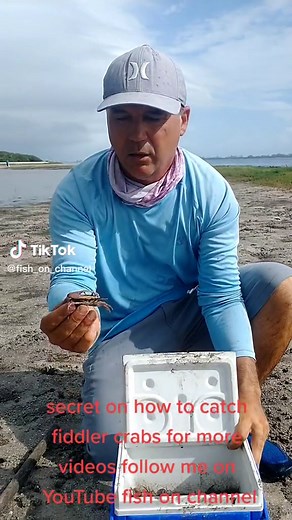 secret on how to catch fiddler crabs for more tips and tricks follow me on YouTube fish on Channel