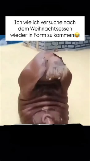 Abnehmen | Rezepte | Frauen Fitness💪🏼 on Instagram: "Wem geht‘s gerade genauso😂 . Übrigens wenn Du nach Weihnachten abnehmen willst: Bis einschließlich Sonntag gibt es mit dem Code traumbody2025 ganze 50 € Rabatt auf unser 👙Programm!! ➡️ Klick jetzt auf den Link in unserem Profil, wenn Du Deinen Abnehmerfolg nicht mehr dem Zufall überlassen willst! . . . #meme #abnehmen #derspeckmussweg #diät #gesundabnehmen"