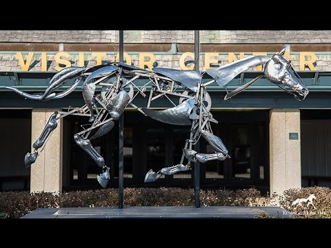 Adrian Landon Mechanical Horse