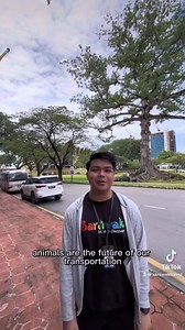 Sarawak Travel, Malaysia, Borneo on Reels